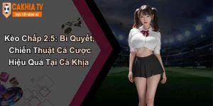 Kèo Chấp 2.5: Bí Quyết, Chiến Thuật Cá Cược Hiệu Quả