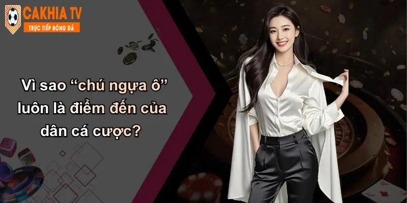Vì sao “chú ngựa ô” luôn là điểm đến của dân cá cược?